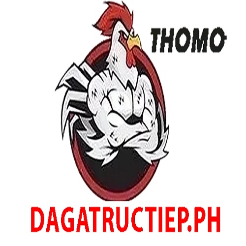 Profile photo for @dagatructiepph