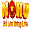 image for link to NOHU90