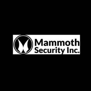 Profile photo for @mammothsecur