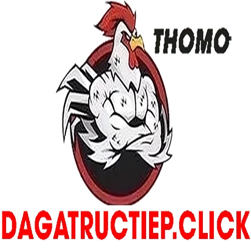 Profile photo for @dagatructiepclick