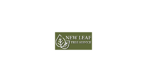 Profile photo for @newleaftreeservice