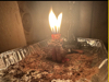 image for link to Sweetening Ritual By High Priestess Shayna