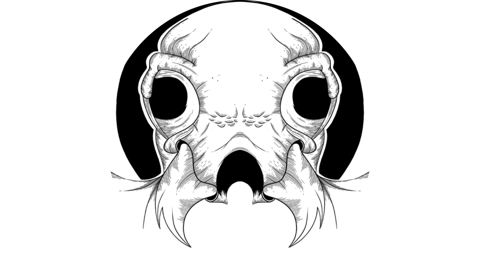 Profile photo for @theactualsusa_