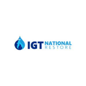Profile photo for @igtnationalmn