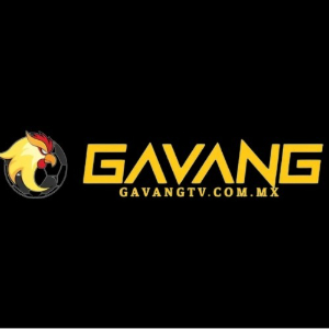 Profile photo for @gavangtvcmx
