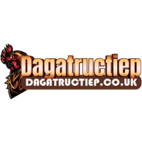 Profile photo for @dagatructiepcouk