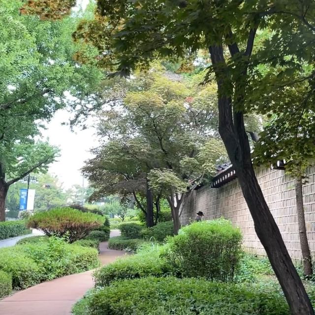 Instagram post: Walk with me in this short video and ID some native/naturalized plants of South Korea. It is monsoon season in July and August with 100% ...