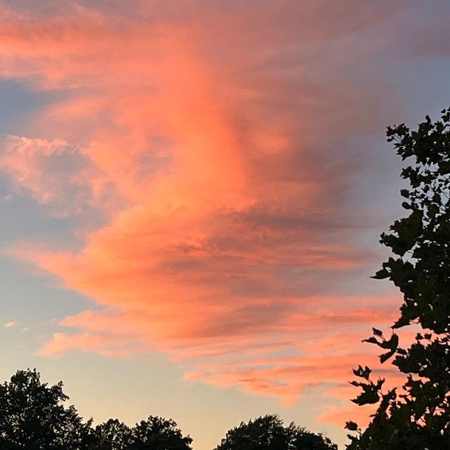 Instagram post: Hope everyone is having a good morning.