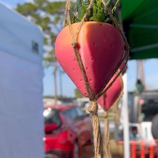 Instagram post: Had a great time at the Strawberry Fest! DM us if you’re in the Melbourne, FL area and want to buy the large planted strawberry pot! We h...