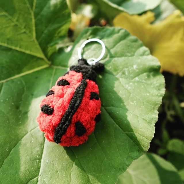 Instagram post: The crochet tutorial for the ladybug keychain is up on my YouTube channel! The link is in my bio. Be sure to check it out!